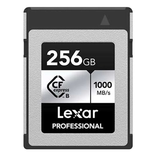Scheda di memoria Lexar LCXEXSL256GRNENG PROFESSIONAL Silver e Black