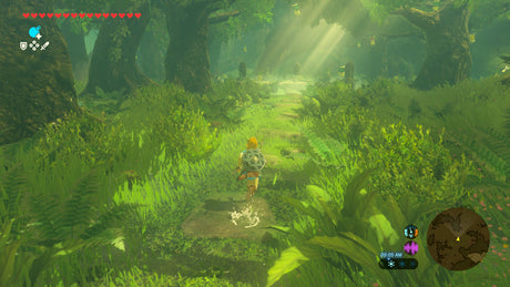 0045496312695