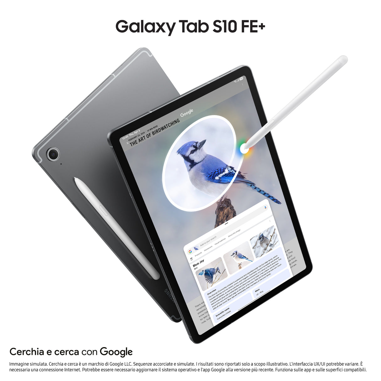 Samsung Galaxy Tab S10 FE+, Android Tablet, Display 13.1" LCD, Wifi, RAM 12GB, 256GB, 10.090 mAh, S Pen, Android 15, IP68, Gray