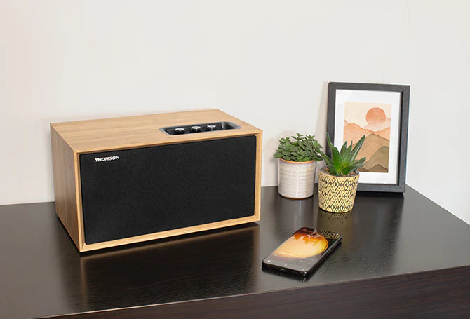 Thomson WS502 set audio da casa Microsistema audio per la casa Nero, Legno