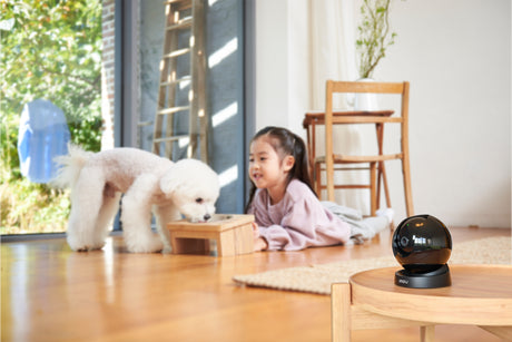 Imou Rex 3D 2K - Telecamera da interno 2K (3MP) rilevamento movimento, umano ed animali , comunicazione bidirezionale e messaggio personalizzato
