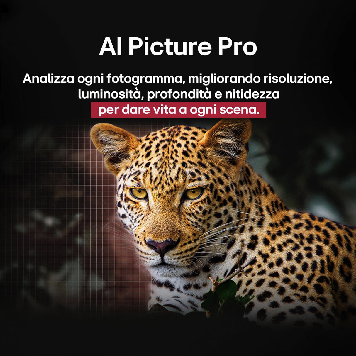 LG OLED evo AI OLED48C55LA TV Serie C5 48'' 4K, α9 Gen8, Dolby Vision, 40W, 4 HDMI, VRR 144Hz, Smart TV WebOS 25