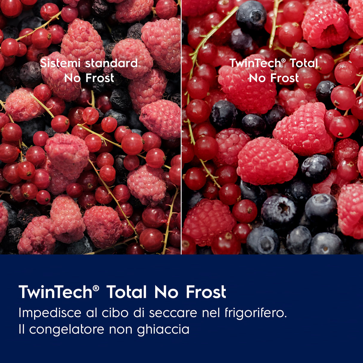 Electrolux ENT6ME18S3 Frigocongelatore Serie 600 TwinTech® Total No Frost 177,2 cm