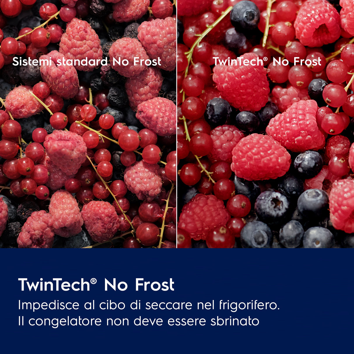 Electrolux ENT6ME18S3 Frigocongelatore Serie 600 TwinTech® Total No Frost 177,2 cm