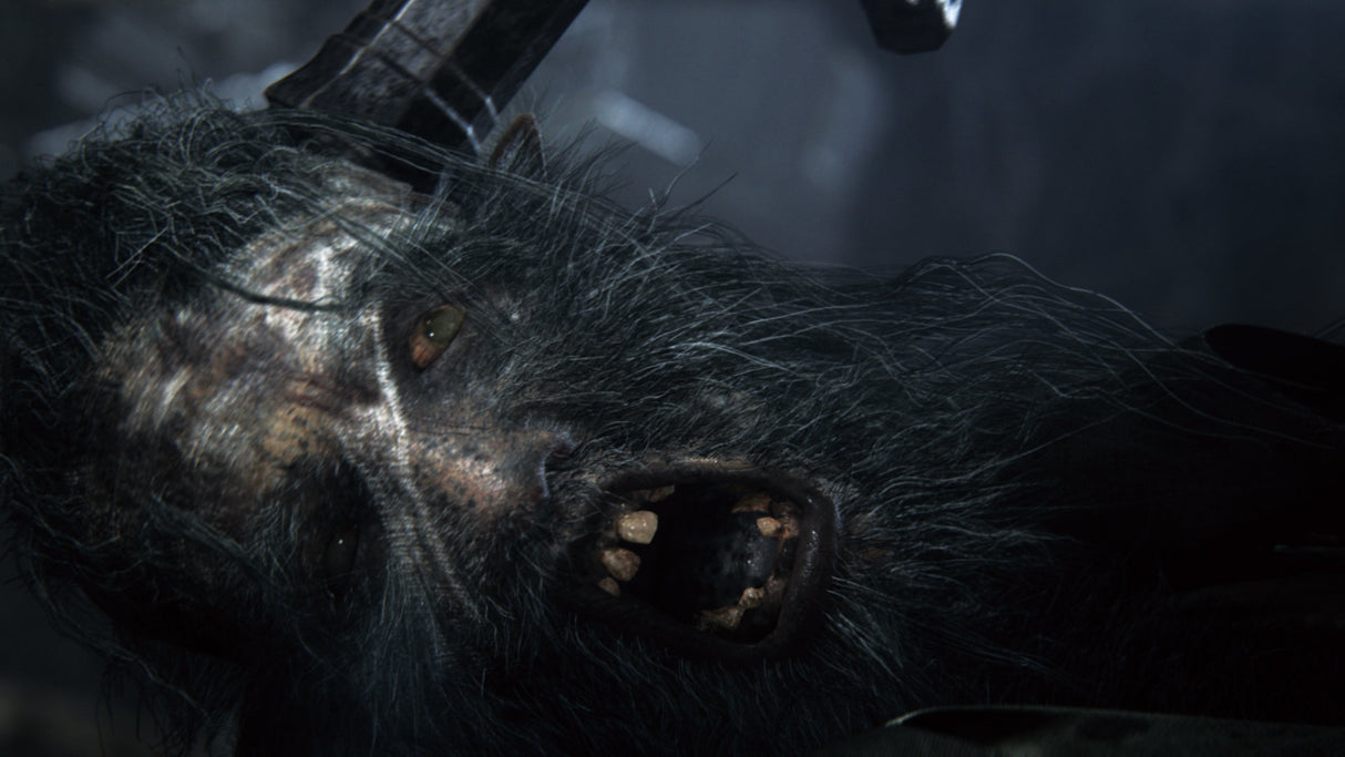 Sony PS4 Hits Bloodborne