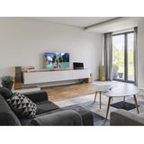 Hama Premium antenna televisiva Interno