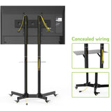 Techly Supporto a Pavimento con Mensola Trolley TV LCD/LED/Plasma 30-65" (ICA-TR6)