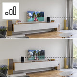 Hama Pro antenna televisiva Interno