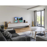 Hama Pro antenna televisiva Interno