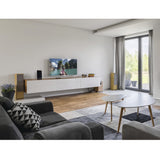 Hama Pro antenna televisiva Interno