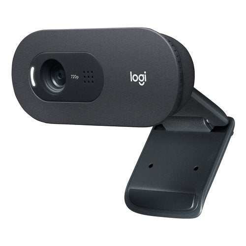 Webcam Logitech 960 001364 C505 Hd Black