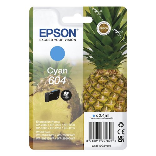 Cartuccia stampante Epson C13T10G24020 604