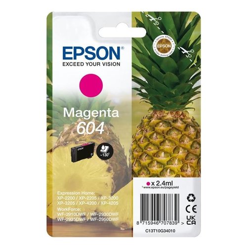 Cartuccia stampante Epson C13T10G34020 604